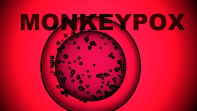 ΠΟΥ: Εξετάζεται η κήρυξη «κατάστασης έκτακτης ανάγκης» για την ευλογιά των πιθήκων