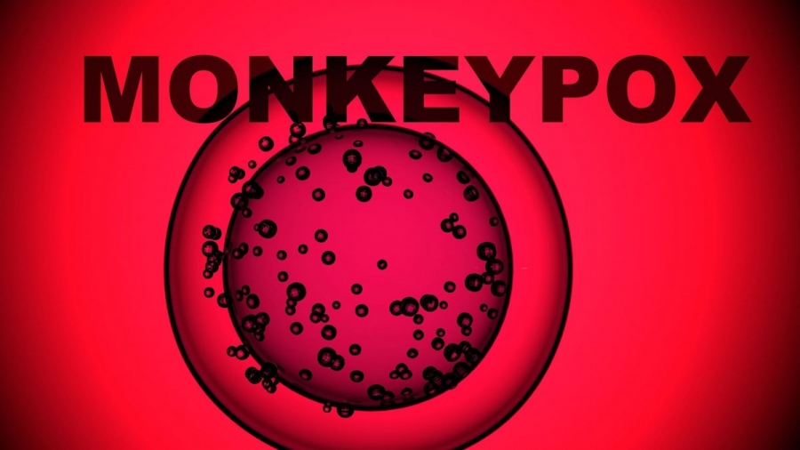 ΠΟΥ: Εξετάζεται η κήρυξη «κατάστασης έκτακτης ανάγκης» για την ευλογιά των πιθήκων