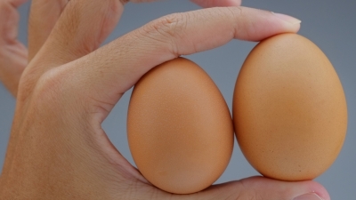 Όρχεις: Συχνότερες παθήσεις και αντιμετώπιση