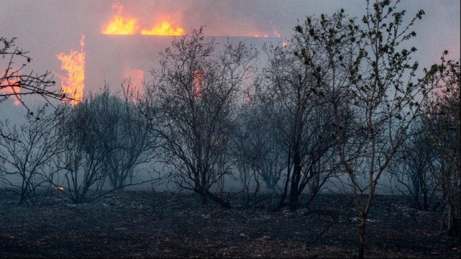 Βόλος: Κλειστές απόψε και αύριο όλες οι βιομηχανικές και βιοτεχνικές επιχειρήσεις στην Α' ΒΙΠΕ, και στη Β' ΒΙΠΕ
