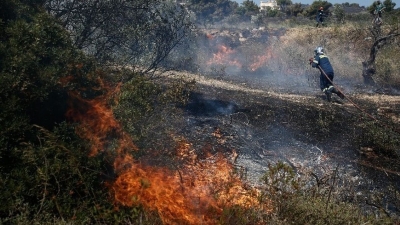 Φωτιά στον Έβρο: Καίει το πευκοδάσος στη Δαδιά, σηκώθηκαν τα εναέρια - Ενεργοποιήθηκε η υπηρεσία Copernicus