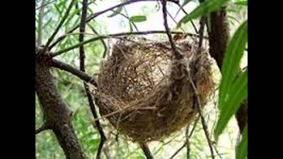 Όλες οι Εταιρείες, μηδεμιάς εξαιρουμένης, έχουν 