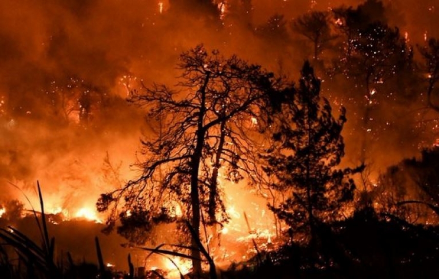 Σε Χαλκίδα και Αιδηψό κλμάκια ψυχολόγων και κοινωνικών λειτουργών