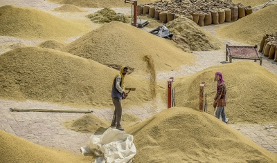 Φωτιά στον πληθωρισμό των τροφίμων: Η Ινδία επιβάλλει δασμό 20% στις εξαγωγές λευκού ρυζιού  - Σε υψηλό 12 ετών οι τιμές
