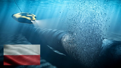 Τρομερό - Η Πολωνία θέλει να δώσει άσυλο αλλά και... μετάλλιο στον σαμποτέρ του αγωγού Nord Stream