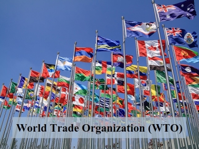 ΠΟΕ: Αναμένει αύξηση του παγκόσμιου εμπορίου 10,8% το 2021