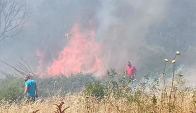Συναγερμός στην Πυροσβεστική για φωτιά στο Κιλκίς – Μεγάλη επιχείρηση κατάσβεσης