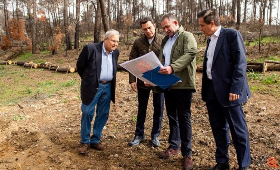 Ο Όμιλος Ελληνικά Πετρέλαια συμβάλλει καθοριστικά στην αποκατάσταση πυρόπληκτων περιοχών