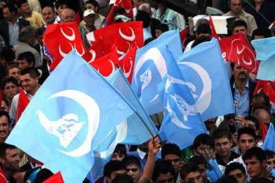 Η Ολλανδία ζητεί την απαγόρευση των Γκρίζων Λύκων σε όλα τα κράτη μέλη της ΕΕ