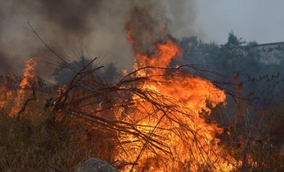 Υπό μερικό έλεγχο η πυρκαγιά στο δήμο Φυλής Αττικής