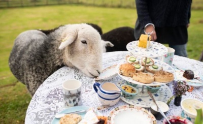 Ποιες είναι οι νέες εμπειρίες που προσφέρει η Airbnb (βίντεο)