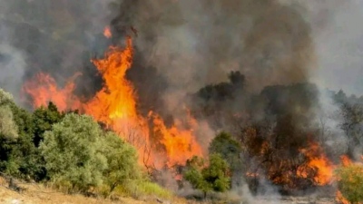 Ξέσπασε φωτιά και στη Μεσσηνία – Έσπευσαν ισχυρές δυνάμεις της Πυροσβεστικής