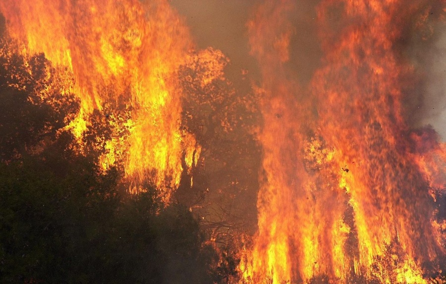 Ηλεία: Ενισχύονται οι πυροσβεστικές δυνάμεις που επιχειρούν για την κατάσβεση μεγάλης πυρκαγιάς