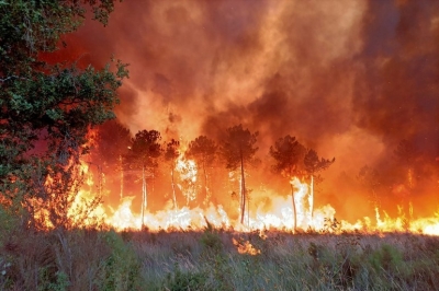 Δασικές πυρκαγιές με ρεκόρ καμένων εκτάσεων στην Ευρώπη το 2022