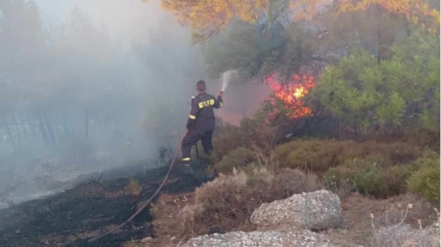 Φωτιά στη Λακωνία - Στη μάχη και εναέρια μέσα