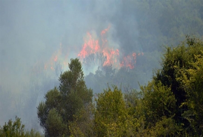 Υπό έλεγχο η πυρκαγιά σε δασική έκταση στο Παγγαίο Καβάλας