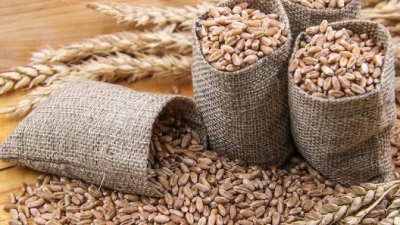 «Αυτό δεν έχει ξανασυμβεί! - Επιστροφή στο μπακάλικο» - Ανταλλαγή σιταριού με SUV: Η Ρωσία με νέους τρόπους κατά κυρώσεων