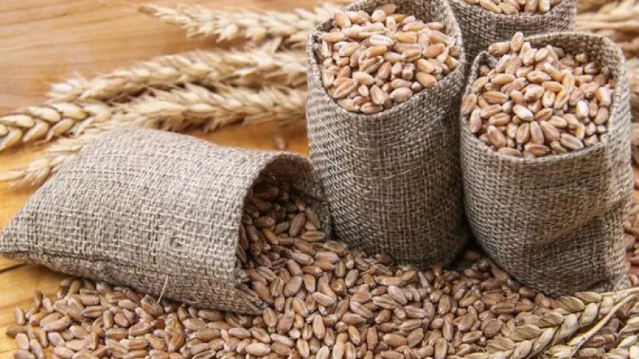 «Αυτό δεν έχει ξανασυμβεί! - Επιστροφή στο μπακάλικο» - Ανταλλαγή σιταριού με SUV: Η Ρωσία με νέους τρόπους κατά κυρώσεων