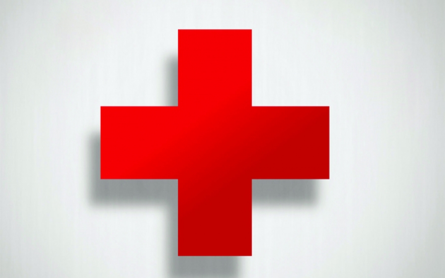 Ερυθρός Σταυρός Αυστρίας: Αυστηρά μέτρα τώρα, για να μη ζήσουμε «καταστροφή το Μάρτιο»