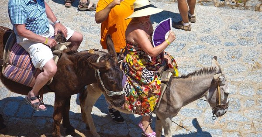 Διεθνές θέμα τα 80 γαϊδούρια της Σαντορίνης – Γιατί;