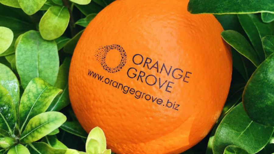 Last Call: Ολοκληρώνονται οι αιτήσεις ενδιαφερομένων από όλη την Ελλάδα για το online Incubation πρόγραμμα του Orange Grove