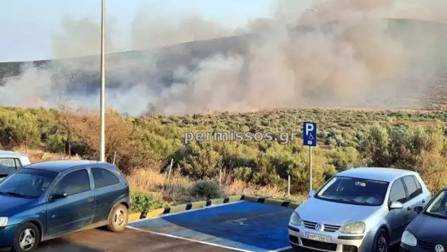 Πυρκαγιά ξέσπασε στον Πρόδρομο Θηβών - Μήνυμα 112 για εκκένωση παραλίας Σαράντη