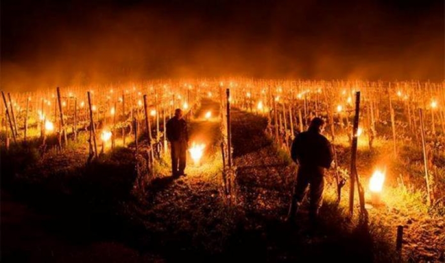 Στα 77 δισ. δολ. οι οικονομικές ζημιές από φυσικές και ανθρωπογενείς καταστροφές το α' εξάμηνο 2021