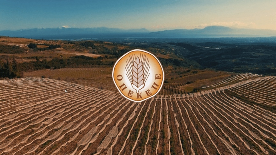 «Βόμβα» από… Μπουκώρο για πάρτι δίχως τέλος στον ΟΠΕΚΕΠΕ