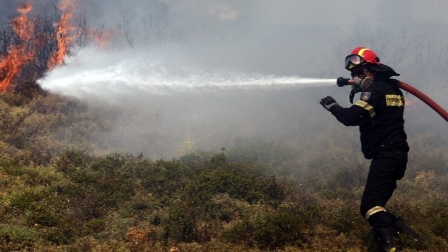 Συναγερμός στην Πυροσβεστική για την πυρκαγιά στο Άγιον Όρος – Ενισχύονται οι δυνάμεις