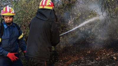 Πυρκαγιά στην Παναγία Εύβοιας - Μήνυμα 112 για επιφυλακή