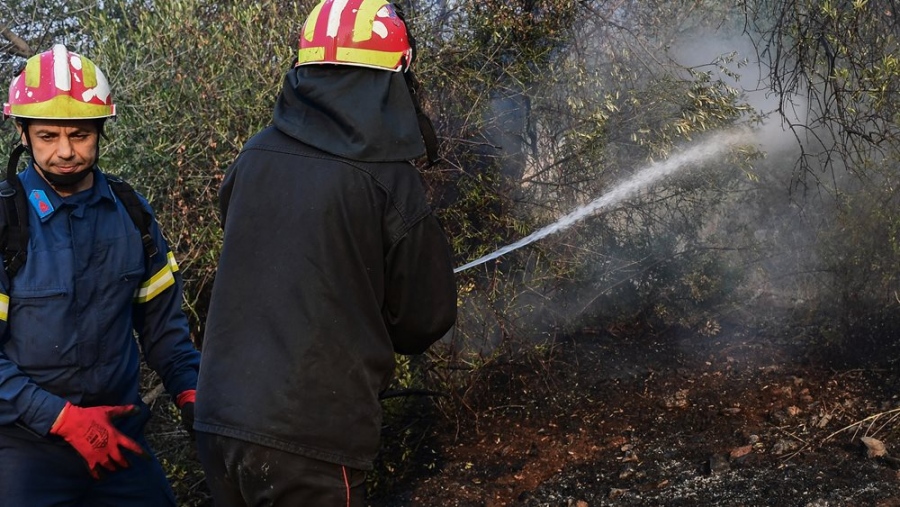 Πυρκαγιά στην Παναγία Εύβοιας - Μήνυμα 112 για επιφυλακή