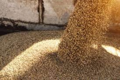 Η ανθρωπιστική προσφορά της Ρωσίας στην Αφρική – Δώρισε 50.000 τόνους σιτηρών σε Μπουρκίνα Φάσο και Σομαλία