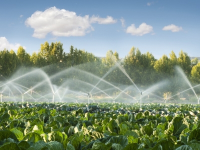 Λογισμικό άρδευσης καλλιεργειών για εξοικονόμηση νερού έως και 270%