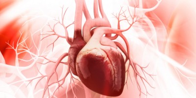 Metropolitan Hospital: Αντικατάσταση αορτικής βαλβίδας (TAVI) χωρίς διάνοιξη του θώρακα