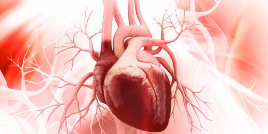 Metropolitan Hospital: Αντικατάσταση αορτικής βαλβίδας (TAVI) χωρίς διάνοιξη του θώρακα