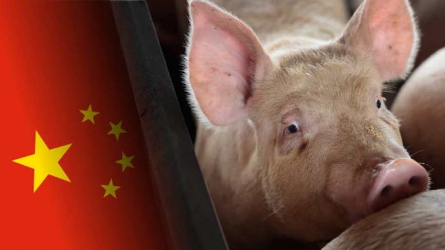 Η Κίνα θα πουλήσει 40.000 τόνους κατεψυγμένο χοιρινό από τα κρατικά της αποθέματα - Στα ύψη οι τιμές