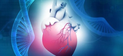 Καρδιολογία: Γενετικός έλεγχος και ιατρική ακριβείας
