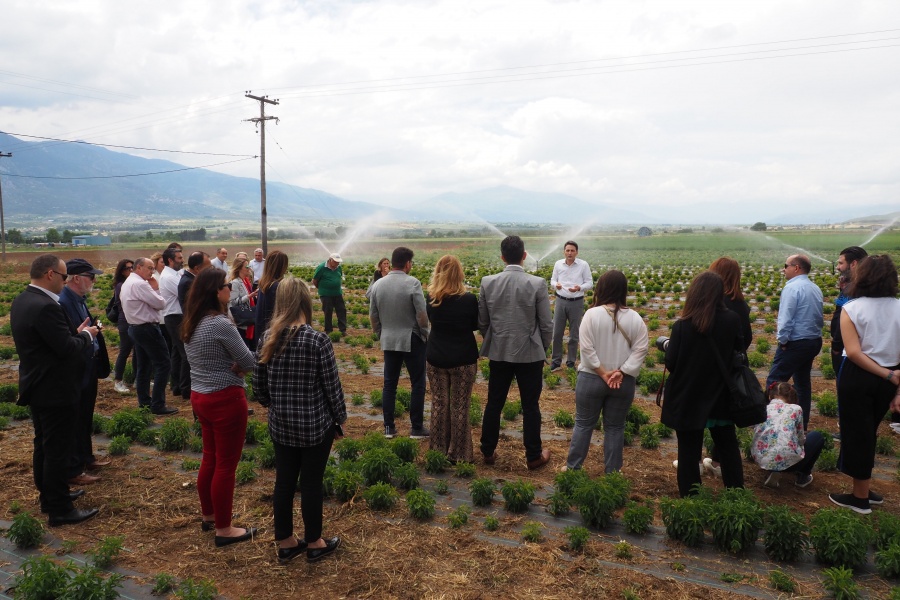Τέταρτο Sustainable Talks: Ανάπτυξη μέσω της Συνεργασίας