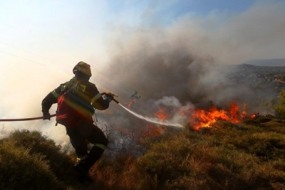 Θεσσαλονίκη: Υπό έλεγχο η πυρκαγιά σε δάσος στον Παρθενώνα Χαλκιδικής