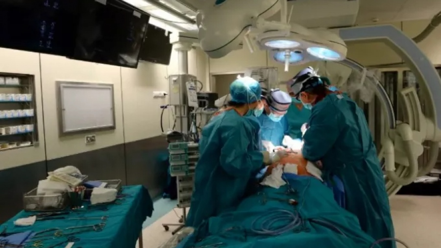 Για πρώτη φορά μεταμόσχευση νεφρού από γενετικά τροποποιημένο γουρούνι σε ζωντανό άνθρωπο