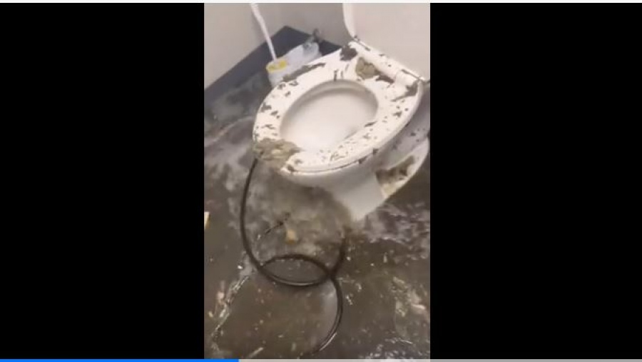 Χάος στο πιο ακριβό πλοίο του κόσμου: Προβλήματα στο αποχετευτικό σύστημα, στις 600 τουαλέτες - Πνίγηκε στα λύματα