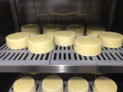 Raw Cheese: Για πρώτη φορά στην Ελλάδα μια ομάδα παράγει τυρί από νωπό γάλα