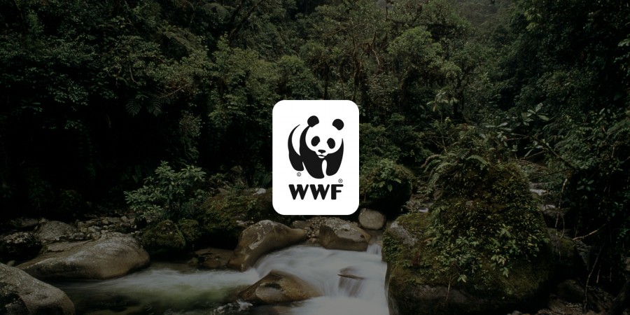 Έκθεση - κόλαφος της WWF: Το 68% της άγριας ζωής έχουν εξαφανιστεί μετά το 1970