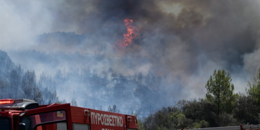 Σε ύφεση η μεγάλη πυρκαγιά στο Γραμματικό Ηλείας – Επί τόπου ισχυρές δυνάμεις της Πυροσβεστικής