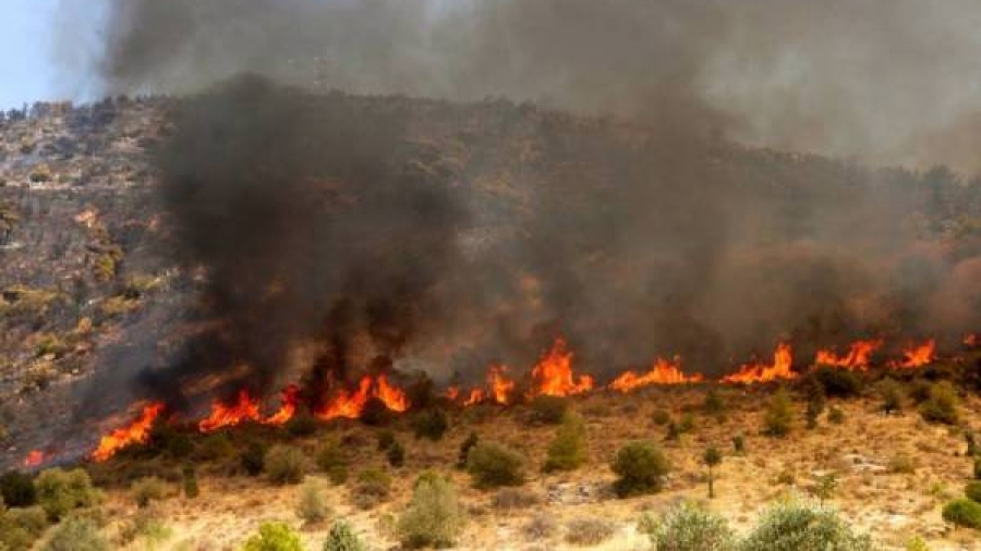 Αναζωπύρωση της φωτιάς στη Μεσσηνία - Εκκένωση οικισμού - Αναφορές ότι καίγονται σπίτια