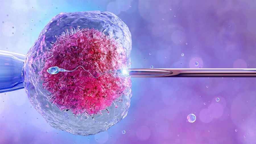 Εξωσωματική γονιμοποίηση: Eίναι ασφαλής;