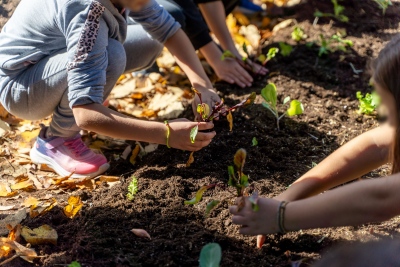 Carbon Farming Schools 2025: ΔΕΗ και Open Farm προωθούν τη βιώσιμη γεωργία στους μαθητές