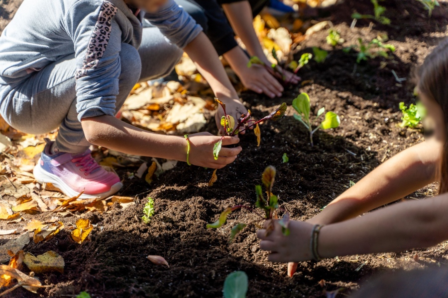 Carbon Farming Schools 2025: ΔΕΗ και Open Farm προωθούν τη βιώσιμη γεωργία στους μαθητές