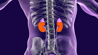 Ρομποτική Μερική Νεφρεκτομή: Τα οφέλη