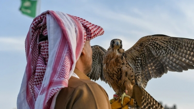 Γεράκια θα φιλοξενηθούν στην 86η ΔΕΘ ως φόρος τιμής στη Σαουδική Αραβία